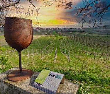 Foto Weinlehrpfad Jois