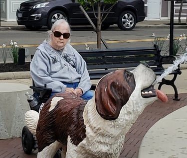 Lady at a park in a wheelchair