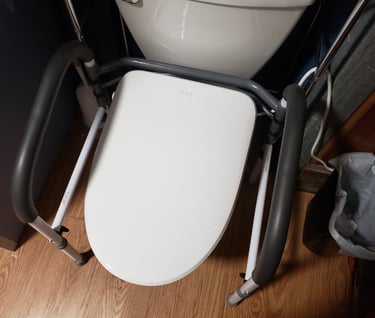 Bidet and safety bars