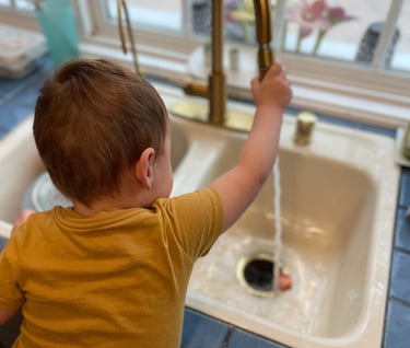 little boy at sink using sprayer to put strawberry down garbage disposal