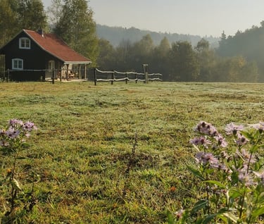 Sękiewiczówka - agroturystyka małopolska - domek nad bobrowiskiem