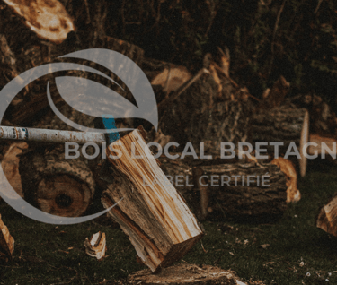 une personne tenant une grande hache avec une grande hache en arrière-plan