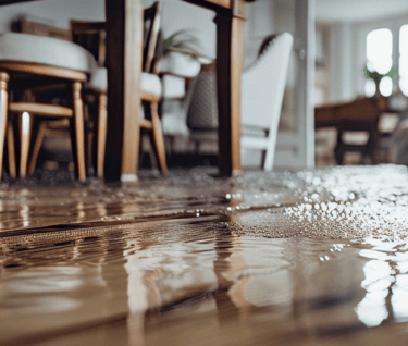 Water damage in the dining and living room area. Standing water on floors. Damaged wood floors.