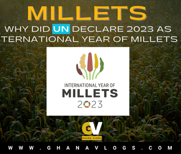 https://ghanavlogs.com/why-did-un-declare-2023-as-international-year-of-millets-