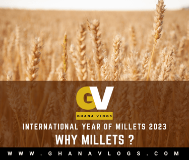 What is Millets?