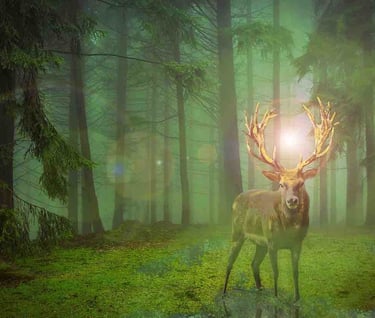 cerf dans la forte de broceliande