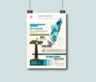 Infographie graphiste Haykantou Madagascar