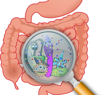 eine gezeichnete Darstellung des Darmes mit einer Lupe wird das Innere vergrößert, es sind Mikroben