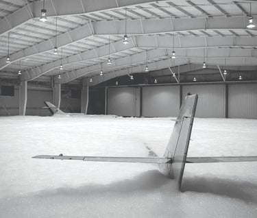 yüksekgenleşmeliköpüksistemiuçakhangarı