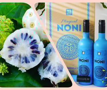 magical noni with high nutrient content