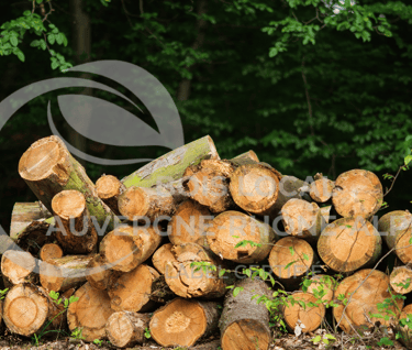 un tas de bûches empilées les unes sur les autres