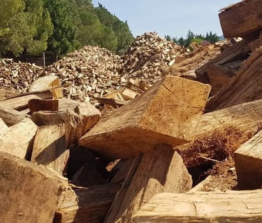 tas de bois avec des bûches 