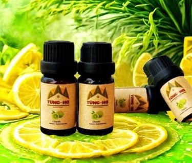 Tinh dầu Chanh xanh Tùng Hạ