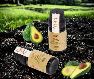 Dầu Bơ Ép Lạnh Noom – Virgin Avocado Oil Noom 10ml 30ml