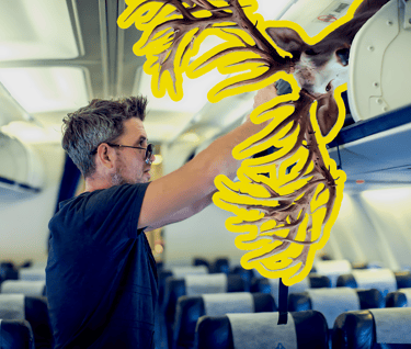 a man stuffing deer antlers in an over head bin on a plane