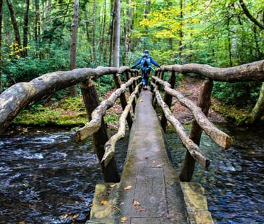 a person hiking over a wooden bridge in the woods