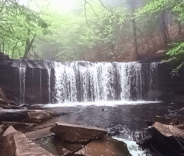 a waterfall in the woods