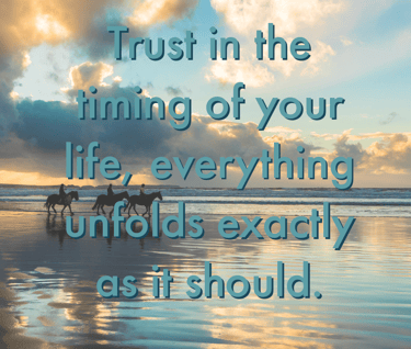 "Trust in the timing of your life, everything unfolds exactly as it should"