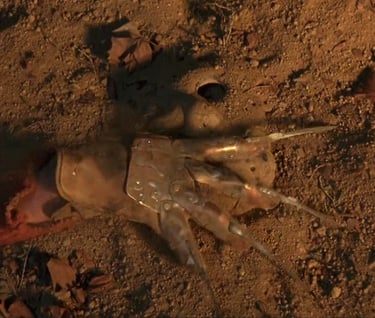 Freddy's hand grabs Jason's mask - Kane Hodder