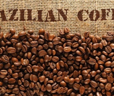 Brazilian Coffee
