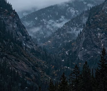 A wide cinematic landscape photograph of a misty, forested valley in the North American / US mountains. The lighting is diffused and moody, using a palette of muted indigo and charcoal to create a sense of mystery and narrative depth.