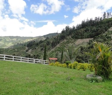 Finca en la cordillera de los andes Cajamarca Tolima