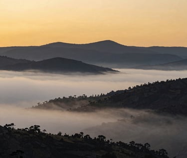 Wide landscape photography of the Angolana highlands at dawn, misty white fog in the valleys, deep obsidian black mountain silhouettes, antique burnished gold sky.