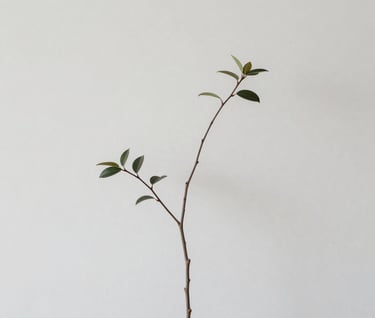 A minimalist composition of a thin branch with few leaves against a neutral #D0D5DB wall. Elegant, soft lighting, contemporary aesthetic.