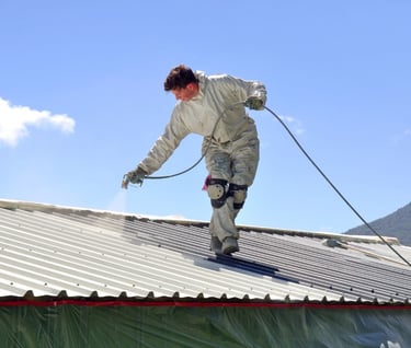 Precision Painting - Auckland roof painting