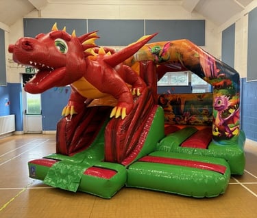 3D Dragon Bouncy Castle Jumpin Janners - Bouncy Castle Hire Plymouth
