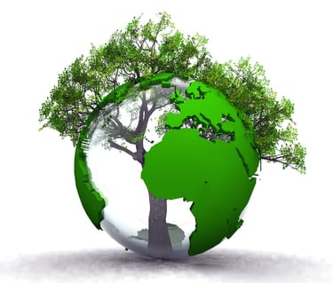 Informatique écologique