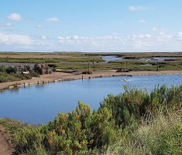 Murrys Pond on the Marsh