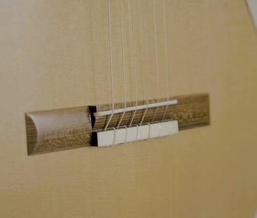 Close-up of a classical acoustic guitar bridge with nylon strings tied to a wooden saddle.