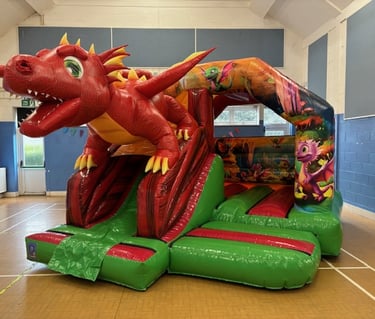 3D Dragon Bouncy Castle Jumpin Janners - Bouncy Castle Hire Plymouth