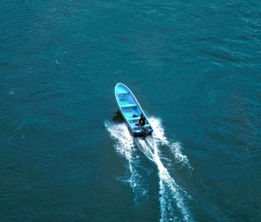 Panga puerto vallarta