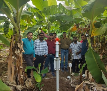 GMM Fruits Indian Bananas AI Enabled IoT Advisory