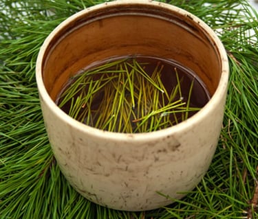 retiros plantas naturaleza cercedilla yoga meditacion