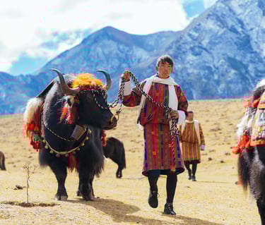 Layap_The_People_of_Laya_Pulling_off_His_Packed_Animal_Yak_during_laya-royal-highland-festival.jpg