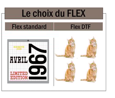 explication différent flex possible