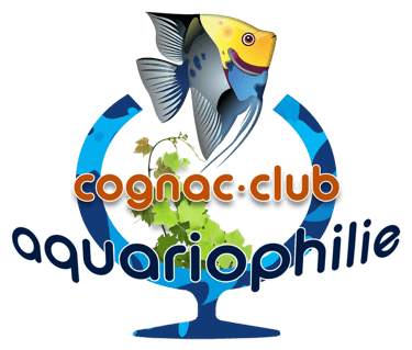 logo aquariophilie cognac - 16Print - partenaire