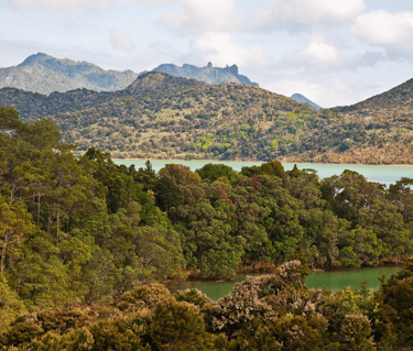 Northland PEP Finder image of Landscape viewed from Parua Bay