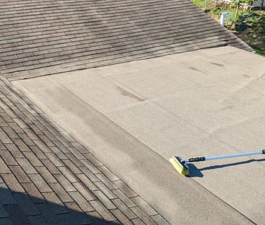 picture of unclean roof and gutters
