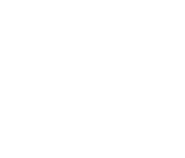 Nilex consultores