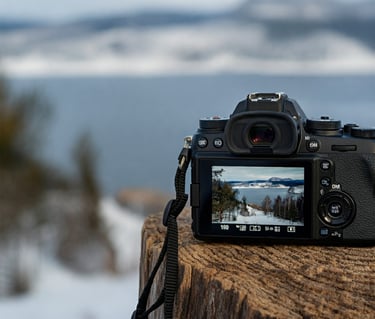 a camera with a camera attached to a wooden stump