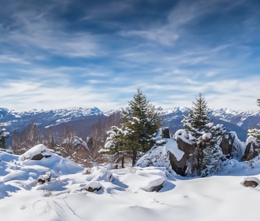 a snow covered mountain with trees and a blue sky