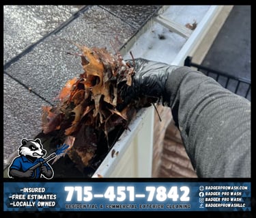 Badger Pro Wash Doing a Routine Gutter Cleaning 