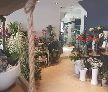 Rénovation d'une boutique