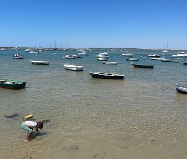 Vista de la bahía de Sancti Petri lleno de barcas, Chiclana, Cádiz