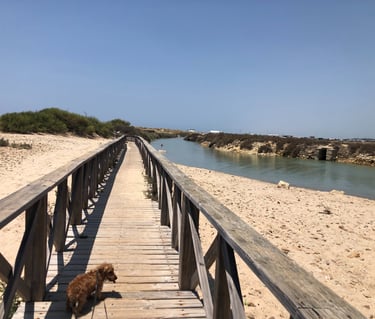 Pasarela de madera en las salinas de la playa de Camposoto, San Fernando, Cádiz