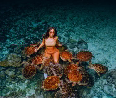tourist enjoying an interactive tour with sea turtles at the Zanzibar Sea Turtle Aquarium, exploring marine life